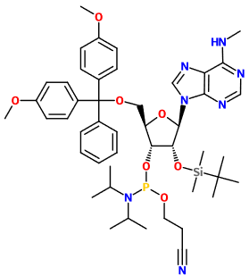 (image for) MC082206 5'-O-DMT-2'-O-tert-Butyldimethylsilyl-N6-methyl-adenosine 3'-CE phosphoramidite